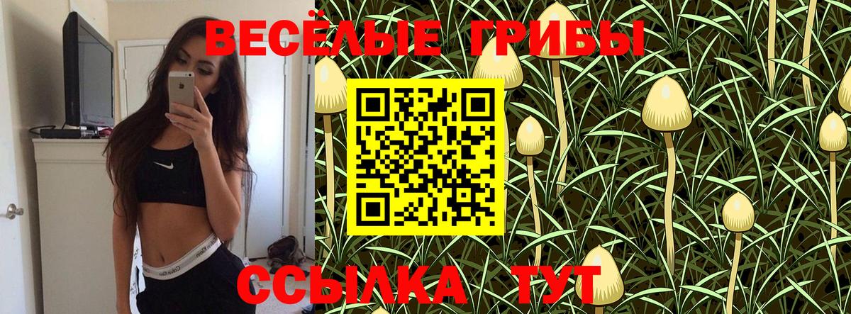 Псилоцибиновые грибы Psilocybine cubensis Калач-на-Дону