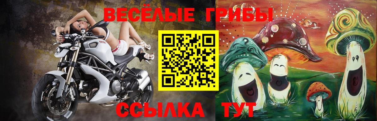 Калач-на-Дону  Галлюциногенные грибы Cubensis  Вход с VPN 